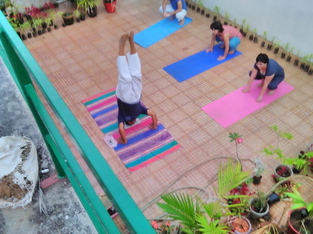 Jojies Fortkochi Homestay Kochi